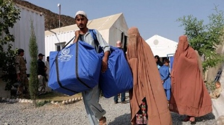  تحصن آوارگان افغان مقابل دفتر سازمان ملل در اندونزی