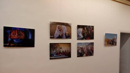 “伊朗民族”展览在巴黎开幕