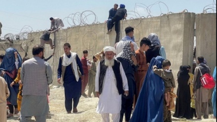 هشدار سفارت افغانستان درباره بدرفتاری پلیس پاکستان با پناهجویان افغان