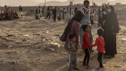 印度将主办阿富汗安全峰会