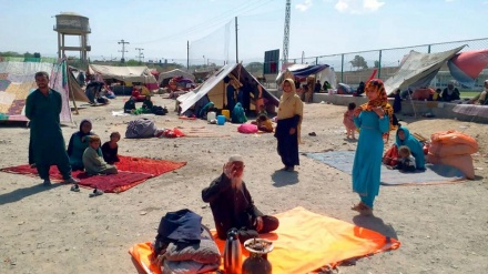 アフガニスタンの人々の経済状況報告