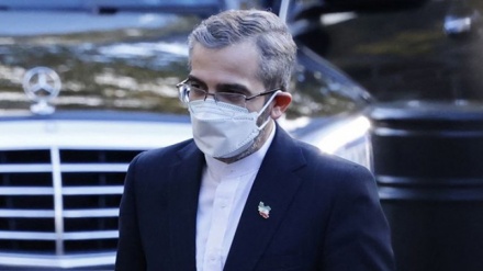 Bagheri Kani: Korsel harus Bebaskan Aset Iran!