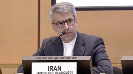 巴卡伊·哈马内：我们的任务是从虚假报道中正本清源、以正视听