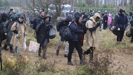 Emigrantët në kufirin e Polonisë dhe Bjellorusisë