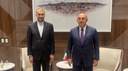 阿米尔·阿卜杜拉希杨将于今日与恰武什奥卢会晤