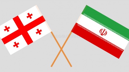 Расширение торгово-экономического сотрудничества между Ираном и Грузией