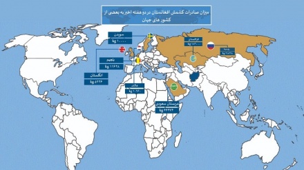 صادرات 700 تن خشکبار به خارج از افغانستان طی 2 هفته گذشته