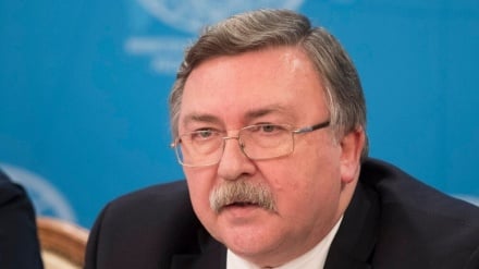 乌里扬诺夫与伊朗常驻联合国代表团团长会谈