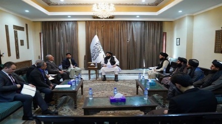 Шавкат Мирзиёевнинг махсус вакили Толибон муваққат ҳукумати раҳбари ўринбосари билан учрашди