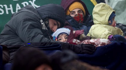 Bielorussia: ong, bimbo di un anno morto nella foresta