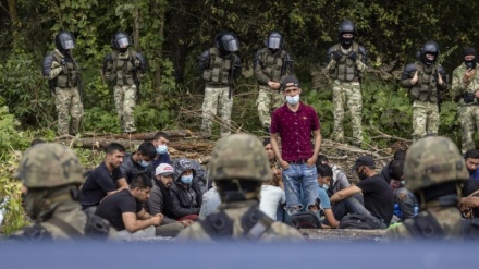 Vazhdon kriza e emigrantëve të mbetur në kufirin mes Polonisë dhe Bjellorusisë
