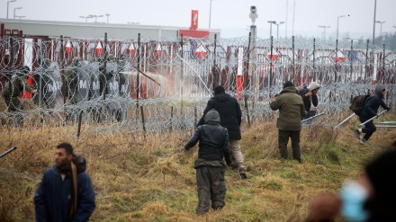 Dhona e policisë në Poloni kundër emigrantëve në kufirin me Bjellorusinë