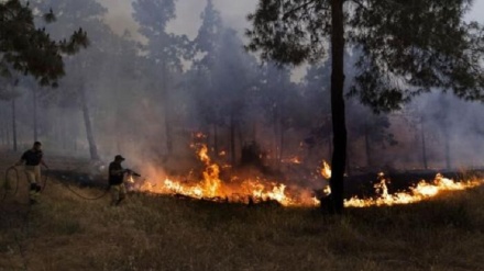 随着被占领的巴勒斯坦北部发生一场大火，数十户人家被疏散