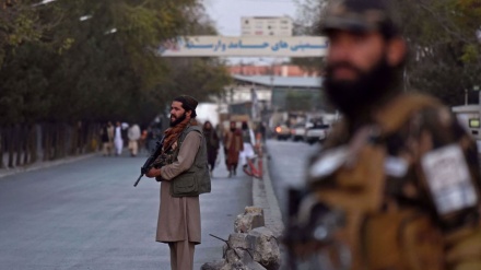  UN official claims Daesh now seems to be present across Afghanistan 