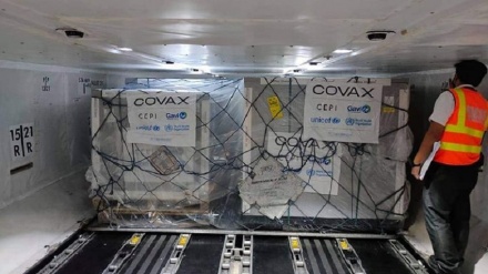 COVAX 已在全球分发5 亿剂新冠疫苗