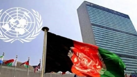  БМТ Хавфсизлик кенгаши Афғонистонга ёрдам етказишни осонлаштириш резолюцияси қабул қилинди 