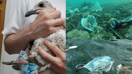 Օգտագործած դիմակն աղբամանը գցելուց առաջ պարզապես հիշեք․․․