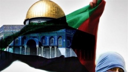 伊斯兰各国议会对伊朗全面支持巴勒斯坦的提议表示赞成