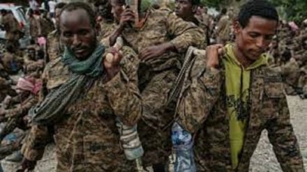 Madaktari Wasio na Mipaka: Wafanyakazi wetu waliuawa kwa makusudi Tigray
