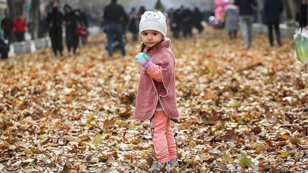 Bermain Daun Kering Musim Gugur (2)