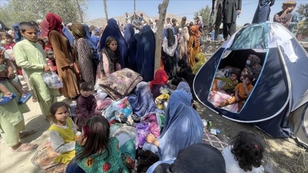 伊朗向阿富汗马扎里沙里夫提供人道主义援助