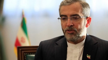 イラン外務次官、「一部の国は外交ではなく責任転嫁を追求」