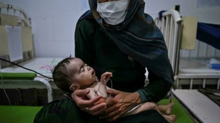 PBB: Kelaparan Ancam Kehidupan 23 Juta Orang Afghanistan