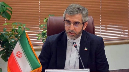 Bagheri: Verification, guarantees on agenda of 8th round of Vienna talks