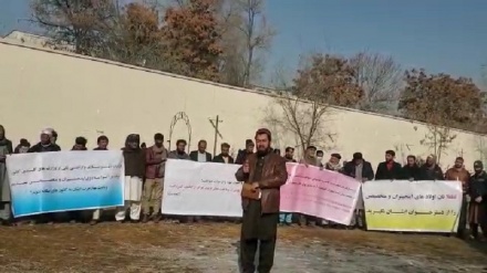 وعده طالبان در پرداخت حقوق کارمندان باز هم عملی نشد 
