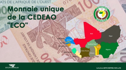 Afrique: la monnaie souveraine, possible...