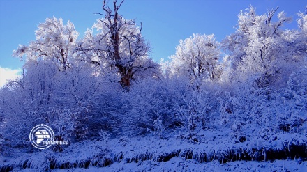 Belle vue sur la nature enneigée de la région touristique de Tuskistan