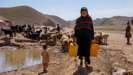 ۶۰ درصد افغانستان با خشکسالی روبه‌رو است                                    