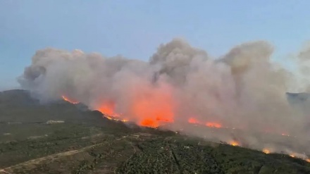 土耳其一家具厂发生火灾 20名工人被紧急送医