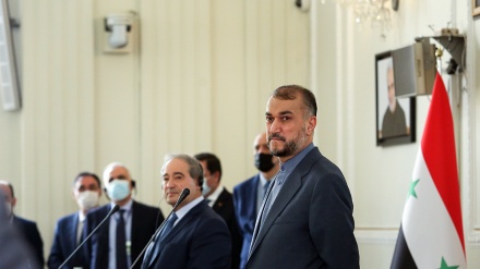 费萨尔·莫格达德：伊朗可以参与叙利亚重建