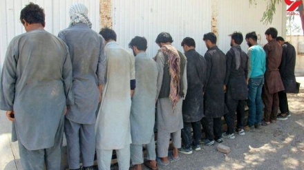 کابل کښې لسګونه مجرمان ونیوی شول