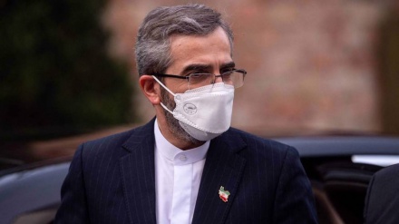 Good progress made in Vienna talks on sanctions removal, verification: Bagheri Kani