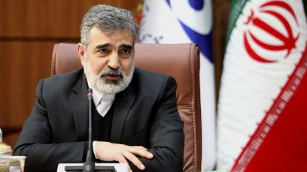 イラン原子力庁報道官、「わが国は対IAEA協力を継続」