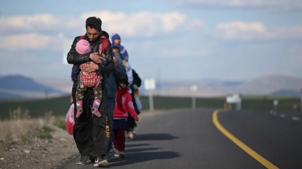 نقض قانون در مورد پناهجویان افغان در آمریکا