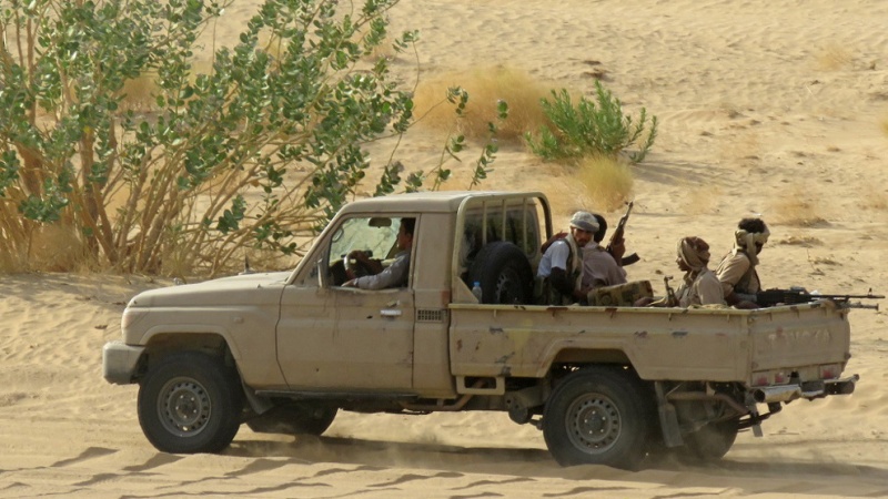 pasukan Mansour Hadi, Yaman