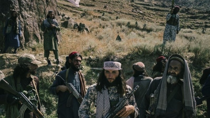 کمیسیون تصفیه طالبان: حدود 1900 نفر از صفوف طالبان اخراج شدند