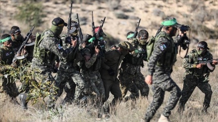 Grupet e rezistencës palestineze zhvillojnë manovër të përbashkët
