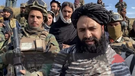 پاکستان له طالبانو سره د سرحدي شخړې د هواري ادعا کړې