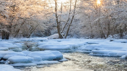Scientists say warmer winters can wreak as much havoc as hotter summers 