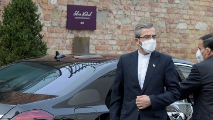 伊朗高级谈判代表在维也纳开始与各方进行外交会谈