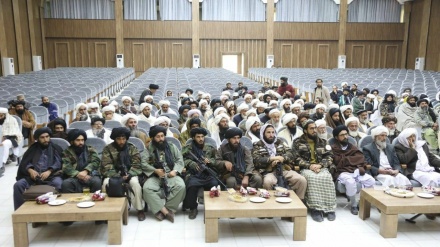سفر هیأت طالبان به هرات برای بررسی مشکلات 