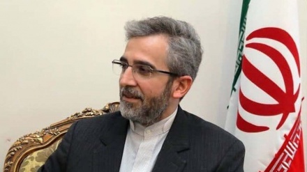 巴盖里·卡尼：伊朗的核活动必须继续
