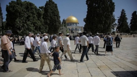 Coloni entrano illegalmente nella moschea di Al-Aqsa