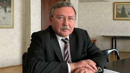 ロシアが、ウィーン協議における欧州の態度を批判