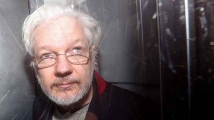 Assange ha avuto un ictus in tribunale, rivela la fidanzata