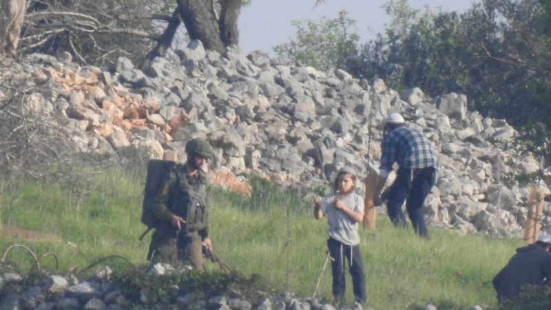 נישול מאורגן